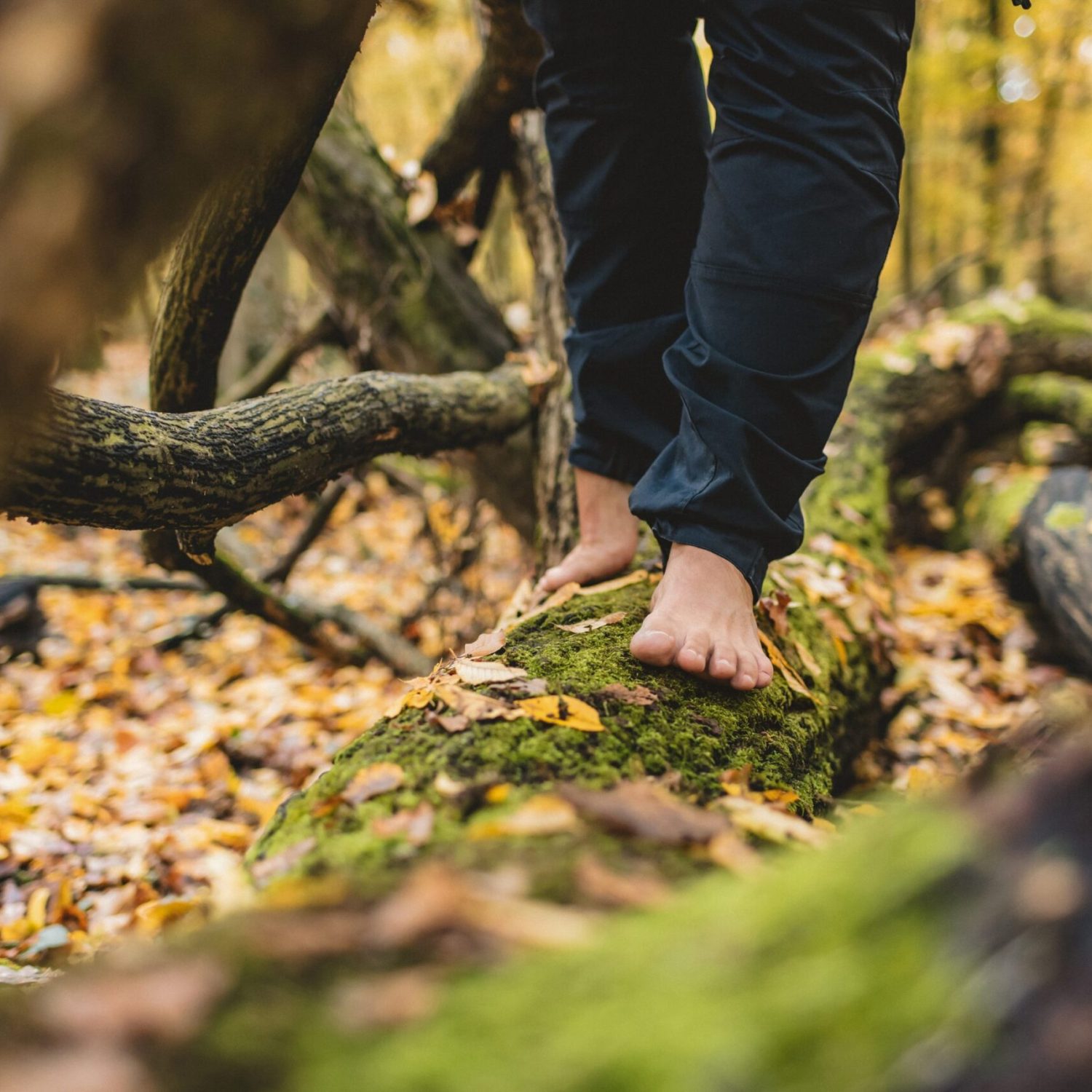 krautwaldkultur bianca heidl kräuterpädagogik permakultur waldbaden frische pflege 53